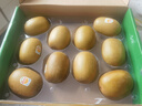 佳沛（zespri）新西兰  阳光金奇异果10粒礼盒巨大果单果约144-175g 水果 猕猴桃 实拍图