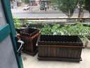大海边 防腐木花箱户外阳台花种植箱碳化外摆围栏组合花盆爬藤架定制 【组合款】长宽高240*40*60 实拍图
