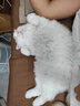 麦富迪猫粮 barf霸弗天然猫粮冻干生骨肉成猫粮养胃益肠牛肉7.2kg 实拍图