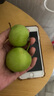 橙市码头陕西头茬青苹果 酸甜 小青苹果 新鲜酸脆孕妇低糖酸水果礼盒送礼 3斤装青苹果【品质精选 净重2.5斤】 实拍图