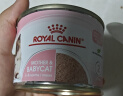 皇家幼猫奶糕 幼猫猫粮 BK34 通用粮 1-4月 2KG 实拍图