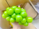 京鲜生云南阳光玫瑰青提450-550g装单果8-10g 葡萄提子生鲜水果源头直发 实拍图