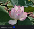 vivo X200 Pro mini 12GB+256GB 微粉 国家补贴6.31英寸纤薄小直屏 蔡司超级长焦 5700mAh蓝海电池手机 实拍图