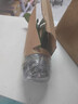 带盆带土6年大苗绿植盆栽室内精品花卉君子兰花苗花卉室内花卉鲜花花卉室内盆景盆栽绿植君子兰苗素颜 绿王君子兰8-10片带盆带土 实拍图