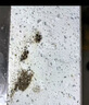 雅彩洁（YACAIJIE）家具肤感柜门清洁剂红木桌椅釉面清洗剂白色漆面去污肤感橱柜去渍 实拍图