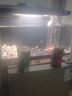 米家（MIJIA）智能生态鱼缸定时喂食智能鱼缸+画法几何增氧泵套装 实拍图