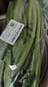 小白菜 约300g 实拍图