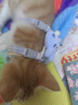 华元宠具（hoopet）猫咪牵引绳溜猫遛猫绳子防挣脱逃背心宠物背带链子可调节外出用品 实拍图