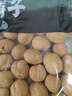 方家铺子 185品种大果纸皮核桃500g 休闲零食每日坚果炒货送礼 实拍图