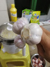 鲁花 食用油 5S物理压榨 压榨一级花生油900ml 小包装 实拍图