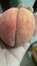 生活＆好管家山西水蜜桃毛桃子新鲜水果超甜多汁现摘 整箱10斤（净重8.5斤）单果120g+ 实拍图