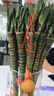 沭之美水培绿植水养植物花卉 龙竹10支约40-50cm高-不含瓶 源头直发 实拍图