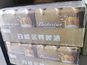 百威金尊啤酒500ml*18听整箱装 单一麦芽10度原麦  实拍图