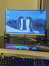 LGJP【300万人+购】全新27英寸显示器27英寸电脑显示器升降高清4K160hz办公屏幕设计电竞游戏显示屏 27英寸【1k180Hz】3A游戏 直白 实拍图