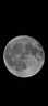 JJC 相机遮光罩 适用于尼康Z 50-250mm/50mm f1.8s镜头 替代HB-90A/HB-90 Z50II二代 Zfc Z30 Z72配件 遮光罩 实拍图