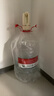 小熊（Bear）桶装水抽水器 电动压水器 自动吸水器 矿泉水上水器 饮水机抽水神器抽水泵 YSJ-D06H5 实拍图