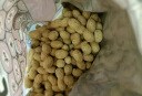 老街口奶香花生420g/袋带壳休闲零食品坚果炒货特产小吃下酒菜 实拍图