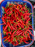 京源采云南小米辣椒新鲜泡椒农家小米椒9斤朝天辣椒指天椒鲜红辣椒批发 净重3斤装 1500g 实拍图