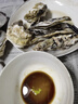 龙味福【活鲜】生蚝 乳山牡蛎 新鲜海蛎子生鲜贝类 【只只精品】XL带箱5斤(25-30只) 实拍图