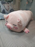 赟娅飞天猪毛绒公仔长条抱枕小猪布娃娃陪睡玩偶床上夹腿专用沙发靠枕 【眯眼1.1米】升级加大内胆可拆洗 实拍图