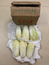 云南高原娃娃菜新鲜蔬菜生鲜乾隆白菜早餐火锅必备产地直发 浅黄色 新鲜娃娃菜3颗装*1包 实拍图