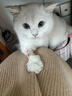 好主人猫条猫咪零食 喵舔酱火腿肠猫罐头白肉汤罐成猫幼猫通用营养开胃 喵舔酱10g*10条 实拍图