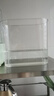 宠街坊鱼缸一体缸造景生态小鱼缸桌面水族箱金鱼斗鱼PET透明鱼缸送礼 实拍图
