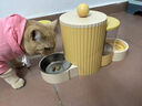 HELLOJOY猫碗 狗碗狗盆宠物双碗不锈钢猫食盆防打翻狗食盆 黄色小号 实拍图
