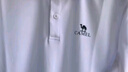 骆驼（CAMEL）速干透气POLO衫男士宽松运动通勤商务休闲翻领短袖夏季M34BD03603 实拍图