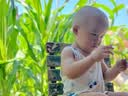 完达山优巧贝能婴幼儿配方奶粉400g 4段 实拍图