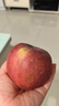 【已售万单】 源头果园冰糖心苹果 红富士苹果 新鲜脆甜水果 约18-24枚 单果160g起丨净8.5斤 实拍图