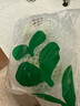 有机汇有机绿甘蓝 生鲜包菜大头菜 新鲜有机 产地种植 营养丰富零农残 圆甘蓝 500g 实拍图