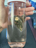 蜜桃乌龙茶包白桃乌龙茶包大果粒热泡冷泡水果茶花茶茶包 蜜桃乌龙【量贩装15包】 乌龙茶、桃干、苹果干、食用香精 实拍图