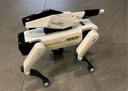 科学怪兽机器狗儿童玩具男孩智能ai编程人生日礼物遥控汽车6-8-12岁 实拍图