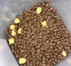 麦富迪猫粮 超肉粒冻干双拼粮10kg 成猫（冻干三文鱼） 实拍图