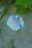 MEKE美科55mmf1.4自动对焦镜头大光圈apc-C半画幅适用微单Z卡口，E卡口，X卡口 索尼E口【基础套餐】 实拍图