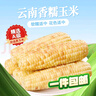 京鲜生云南香糯小玉米3斤精选小花糯甜糯玉米棒 包装随机发货 源头直发 实拍图