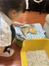涴喵 苏氏纯种英短幼猫短毛猫大脸猫宠物猫咪活体辅助喂养 宠物级 【金渐层】 实拍图