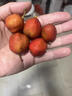 桃西村山东新鲜山楂果鲜果 沂蒙山五棱大金星山楂红果冰糖葫芦新鲜水果 2斤精选中果 实拍图