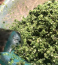 洁晖碎菜机碎草机铡草机家用不锈钢农用喂鸡瓜果蔬菜切菜打菜机粉碎机 【1400W】304不锈钢+铜芯电机 家用碎菜机商用碎草机饭店绞肉机 实拍图