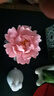 东方泥土 陶瓷手工牡丹花摆件 家居客厅博古架茶室茶几装饰工艺品 D04-82C 小号牡丹（浅粉） 实拍图