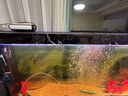 派乐特 鱼缸增氧泵氧气泵增氧机制氧机水族箱气泵家用造氧泵* 12W双孔套餐【适用120-200cm鱼缸】 实拍图