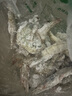鲜京采 原装进口厄瓜多尔白虾 净重3.3斤 大号30-40规格 50-66只/盒 实拍图