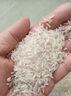 御龙儿河龙贡米·大雪5kg优质南方单季籼稻 实拍图