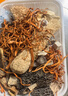 神农金康 羊肚菌汤包72g*5包 云南菌菇汤包 山珍干货 云南特产 煲汤材料 实拍图