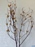美学黑客真树枝干枝山捻枝玉兰花束客厅摆设干花花束真花插花家居室内装饰 山捻枝黄色三支不含花瓶 实拍图