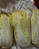 【超市品质】新鲜精品娃娃菜现砍现发小包装新鲜蔬菜生鲜产地直发 新鲜娃娃菜1*(3棵)*1包 实拍图