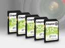 金士顿（Kingston）64GB SD存储卡 U1 V10 相机内存卡 sd卡大卡 支持4K 高速连拍 读速100MB/s  实拍图