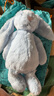 Jellycat害羞蓝色邦尼兔 柔软毛绒玩具公仔玩偶送礼娃娃生日礼物 害羞蓝色邦尼兔 Medium 实拍图