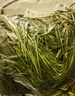 洁西 提摩西草 精选北提兔兔牧草干草成兔粮豚鼠龙猫提草饲料500g 实拍图